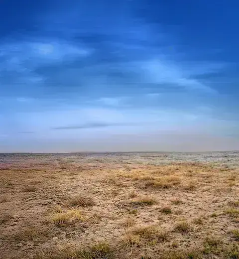 Projektrechte verkaufen